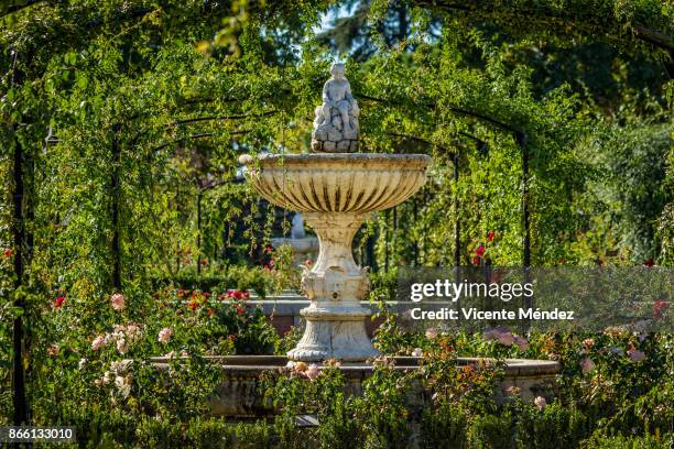 the rose garden of the retiro park - parque del buen retiro bildbanksfoton och bilder