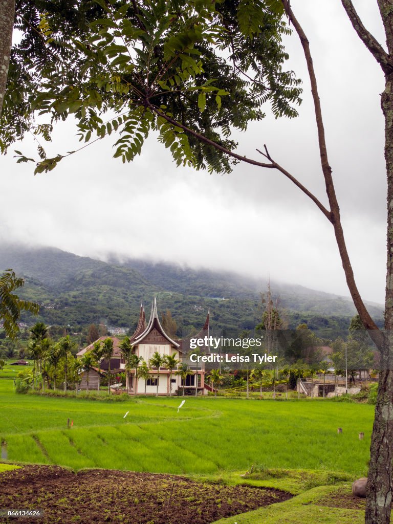 A traditional Minangkabau house set behind rice paddies in...