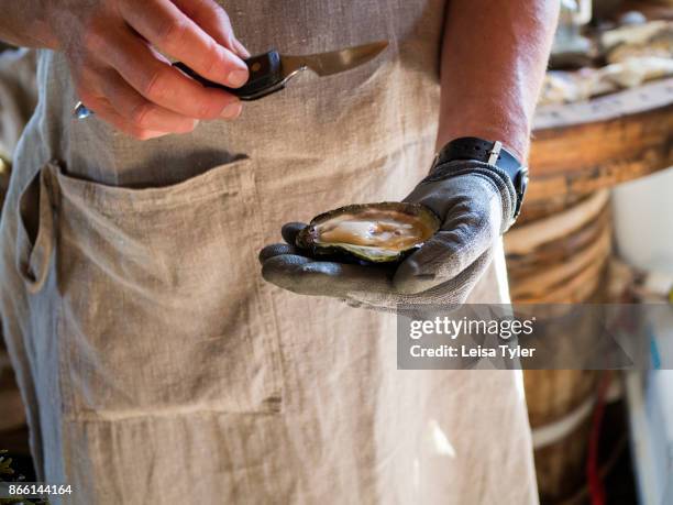 Shucking oysters at Everts Sjöbods, a small travel business offering boat safaris,meals and accommodation out of a 19th century boathouse in...