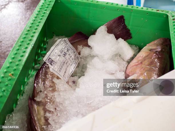 Mackerel fish on ice and ready to be shipped from the fish market in Smögen. The fishing industry in Sweden is highly regulated.