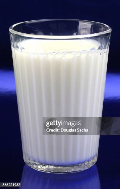 clear serving glass of cows milk on a blue background (bos primigenius) - bos taurus primigenius stock pictures, royalty-free photos & images
