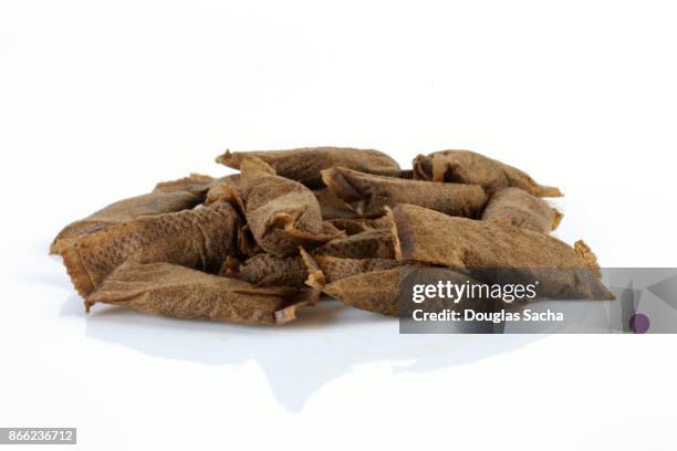 snuff pouches of tobacco - kautabak stock-fotos und bilder