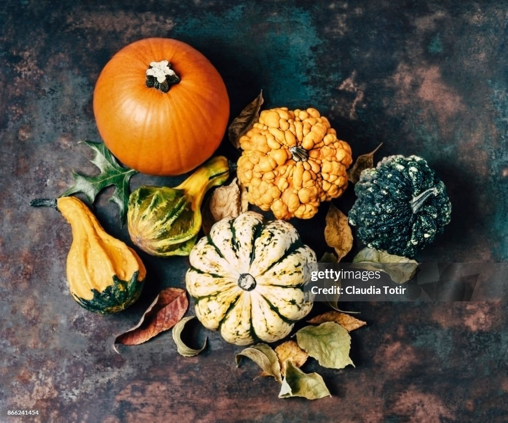 Variety of pumpkins