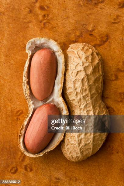 two peanuts nestled inside of a cracked opened peanut shell - half open stock pictures, royalty-free photos & images