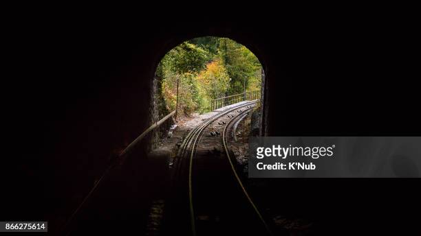 fresh forest behind the train railway tunnel - k'nub stock pictures, royalty-free photos & images