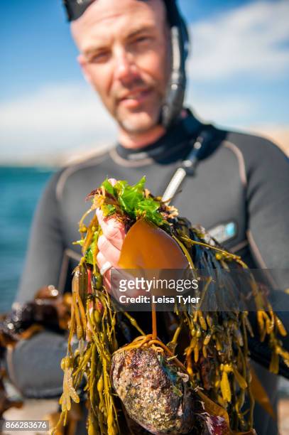 Kelp forager Jonas Pettersson from Catxalot at Tjurpannan Nature Reserve in Havstenssund, West Sweden.