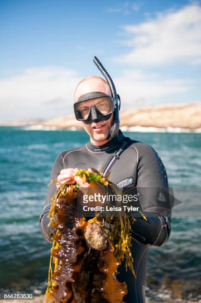 Kelp forager Jonas Pettersson from Catxalot at Tjurpannan Nature Reserve in Havstenssund, West Sweden.
