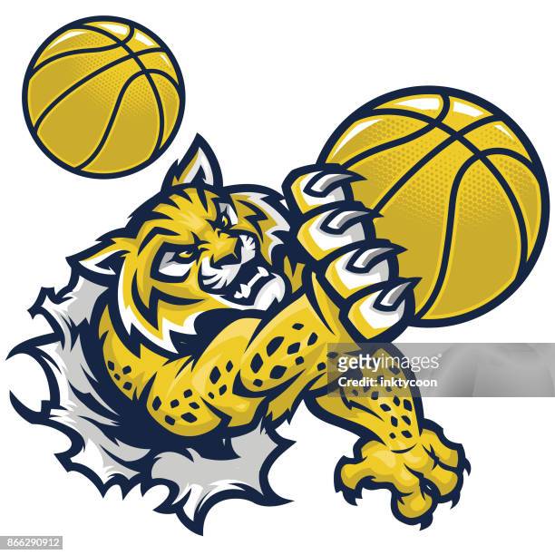 wildcat basketball - wildcat mascot stock illustrations
