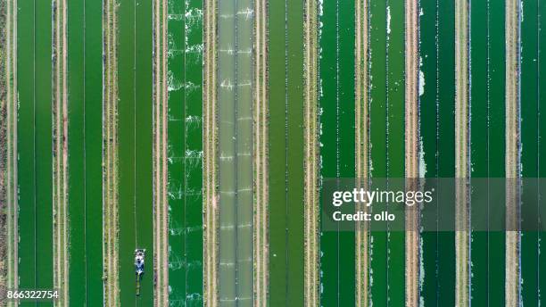 granja de cultivo ragworm - vista aérea - célula cultivada fotografías e imágenes de stock