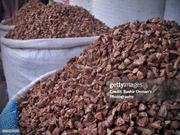 streets of karachi - insect display case stock pictures, royalty-free photos & images