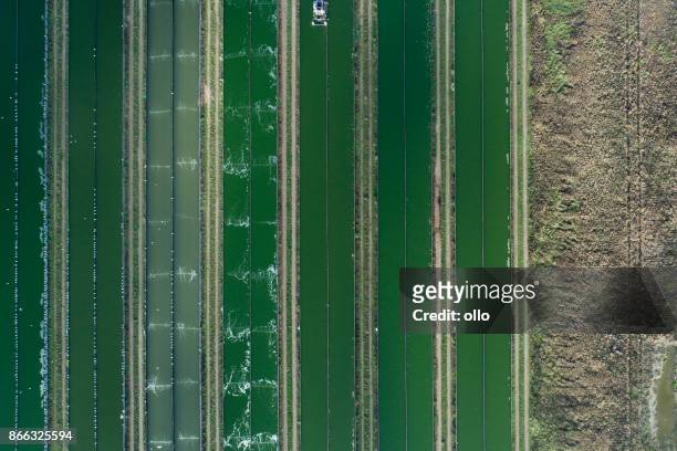 granja de cultivo ragworm - vista aérea - célula cultivada fotografías e imágenes de stock