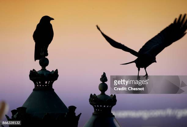Black birds are seen in front of a giant advertisement for the new Samsung Galaxy Note 8 phone is displayed on 'Place de la Concorde' on October 25,...