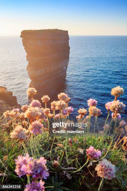 downpatrick head - ballycastle stock pictures, royalty-free photos & images