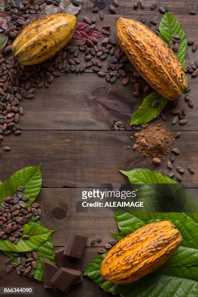 composición del cacao - polvo de cacao fotografías e imágenes de stock