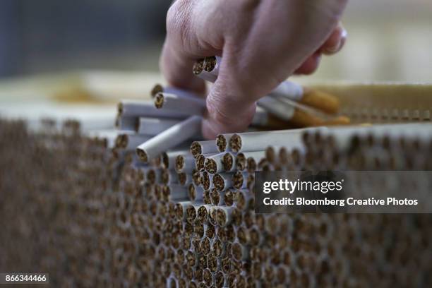 an employee checks cigarettes during production - produto relacionado com tabaco imagens e fotografias de stock