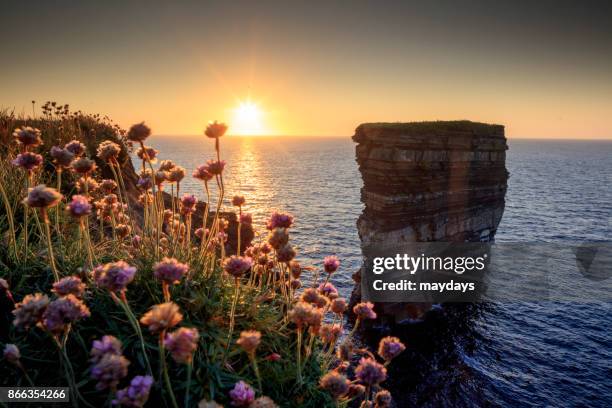 downpatrick head - ballycastle stock pictures, royalty-free photos & images