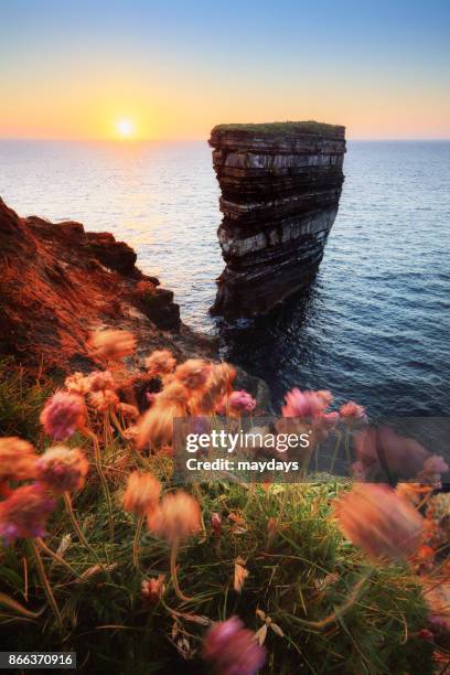 downpatrick head - ballycastle stock pictures, royalty-free photos & images