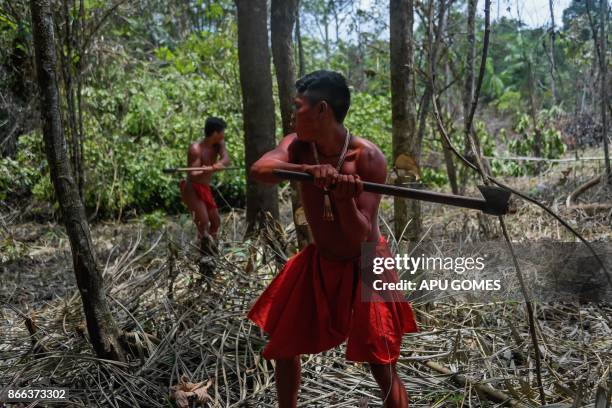 Waiapi men cut down trees to make manioc field, at the Waiapi indigenous reserve in Amapa state in Brazil on October 14, 2017. When Waiapis walks...