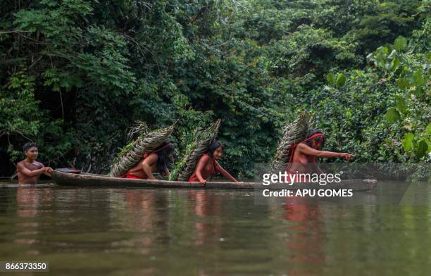 Eriana Waiapi gives directions to cross the Feliz river, while carrying -each of them- more than 50 kilos of manioc to prepare Caixiri, a craft beer...