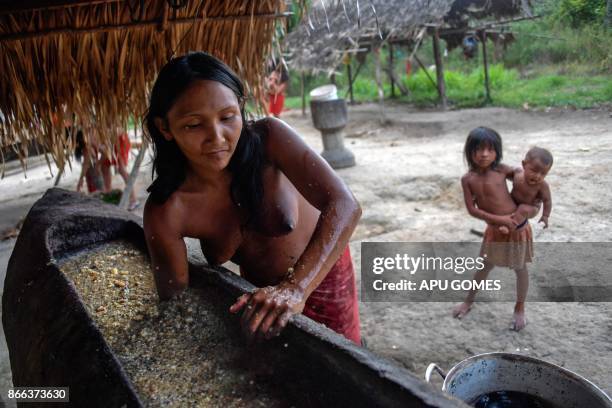 Waiapi woman mixes water and manioc to prepare Caxiri, a craft beer made with Manioc, imbibed daily by men, women and children when is not sour yet,...