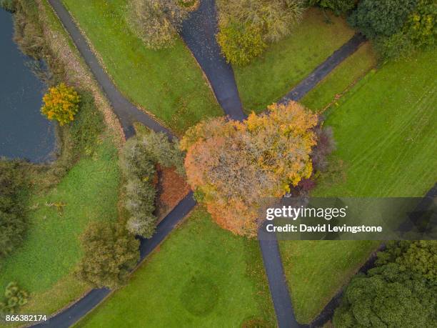 aerial view of a forest park with a bandstand and tea room - david levingstone stock pictures, royalty-free photos & images