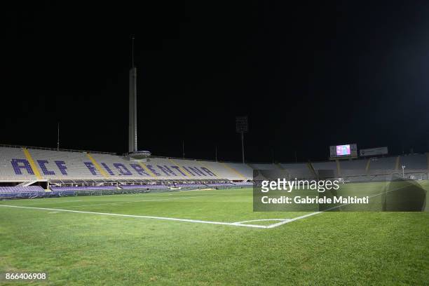 General view during the Serie A match between ACF Fiorentina and Torino FC at Stadio Artemio Franchi on October 25, 2017 in Florence, Italy.