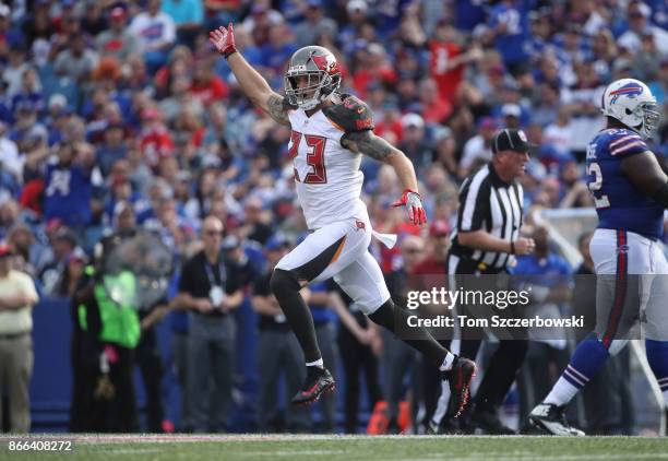 Chris Conte of the Tampa Bay Buccaneers celebrates after the Buccaneers forced a turnover and recovered the fumbled ball during NFL game action...