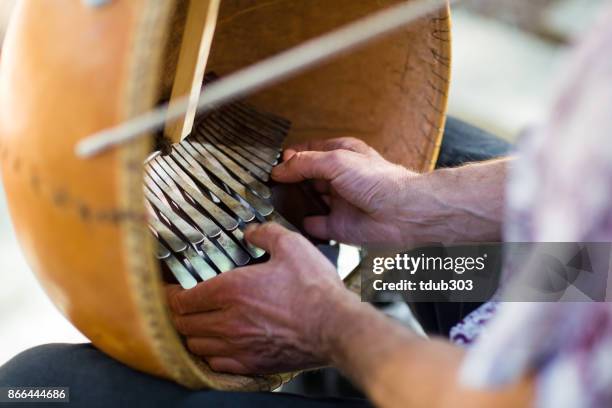 een man een afrikaanse kalimba spelen en zingen op de patio van een hut in het bos - slaginstrument stockfoto's en -beelden