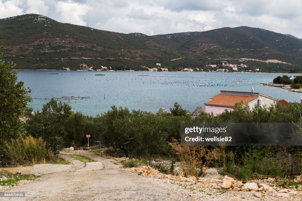 Mussel farming in Brijesta