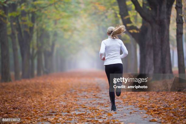 women in sport - rear view woman jogging alone in autumn - november weather stock pictures, royalty-free photos & images