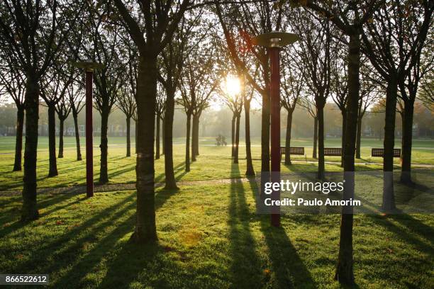 museumplein park on early morning in amsterdam - museumplein 個照片及圖片檔