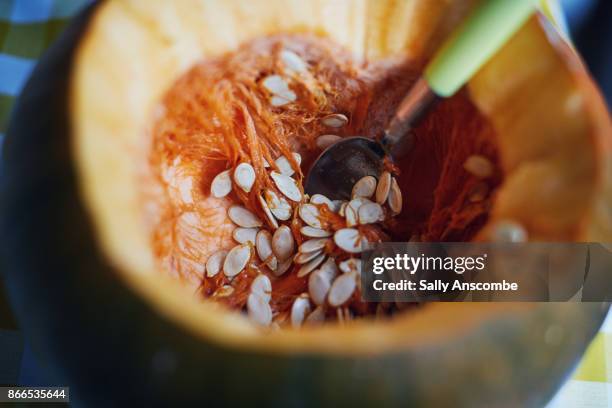 an open pumpkin getting the seeds scooped out - scooping stock pictures, royalty-free photos & images