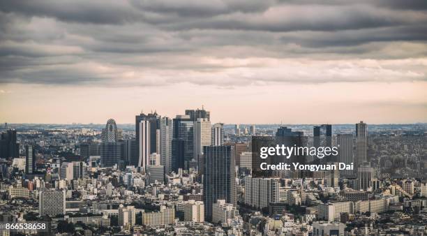 panoramic view of shinjuku skyscrapers - overcast city stock pictures, royalty-free photos & images