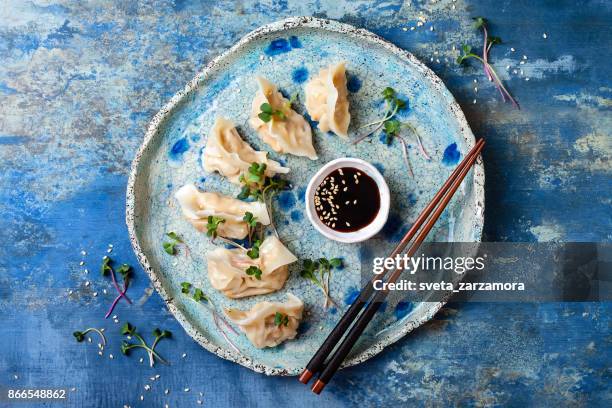 Asia albóndigas con salsa de soja, semillas de sésamo y microgreens. Bolas de masa hervida tradicional chino dim sum. Copiar espacio, endecha plana