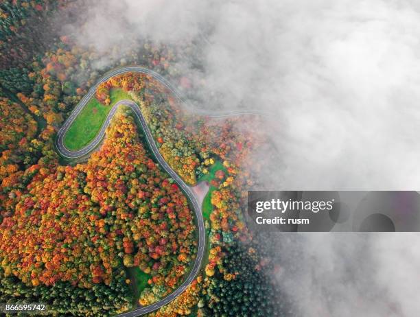 autumn forest road go down into morning fog. mosele valley, germany. - car top down stock pictures, royalty-free photos & images