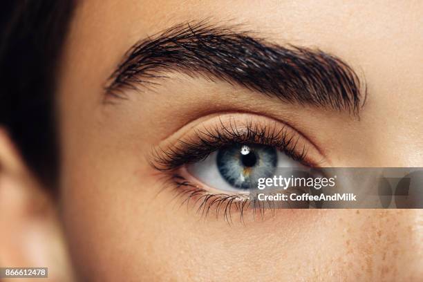 schöne frau - eyebrow stock-fotos und bilder