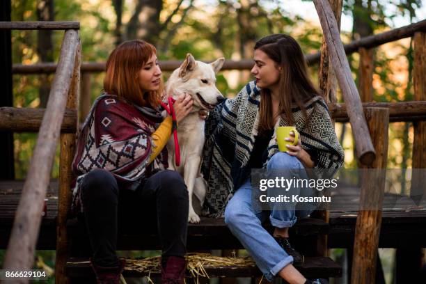 free friends enjoying morning in nature - husky smiling stock pictures, royalty-free photos & images