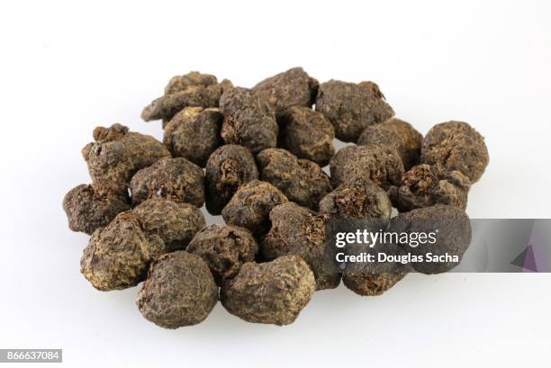 anemone flower bulbs (anemone coronaria) - bulb planter stock pictures, royalty-free photos & images