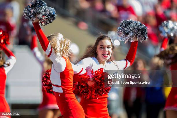 Wisconsin Badger dance team members enjoy jump around between the 3rd and 4th quarters durning an college football game between the Maryland...