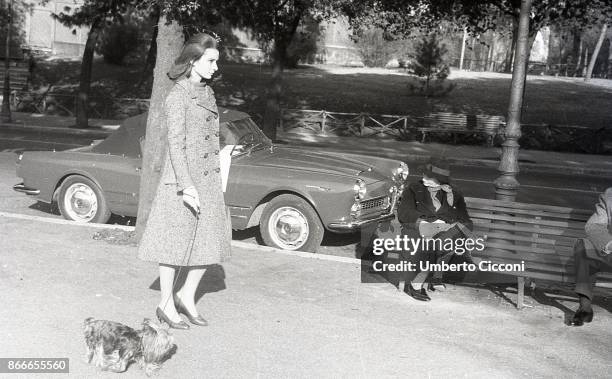 The British actress Audrey Hepburn walking with her dog in Villa Borghese in Rome in December 1959.