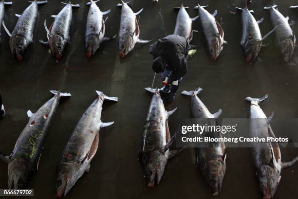 23,822 Tohoku Earthquake And Tsunami Stock Photos, High-Res Pictures ...