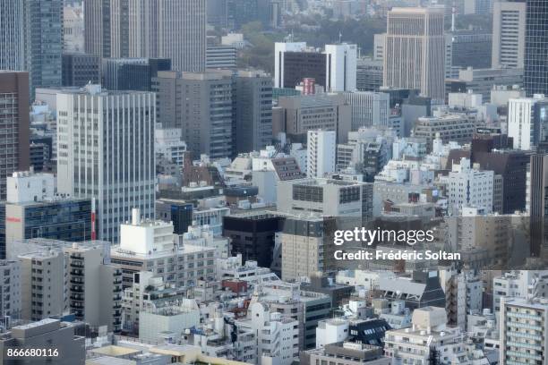Aerial view of Tokyo, capital of Japan, from the World Trade Center Building, a 40-story commercial skyscraper located in Hamamatsucho on March 15,...