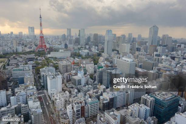 Aerial view of Tokyo, capital of Japan, from the World Trade Center Building, a 40-story commercial skyscraper located in Hamamatsucho on March 15,...