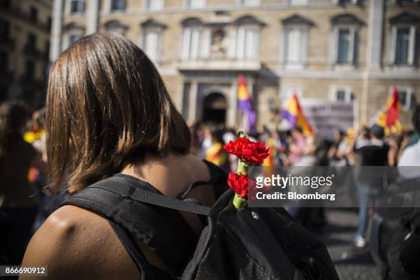 Protester carries red carnation flowers during a gathering outside the Generalitat regional government offices at Sant Jaume after a demonstration...