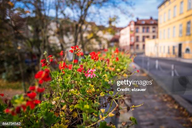 autumn in bamberg - klein venedig stock pictures, royalty-free photos & images