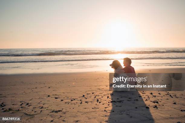 rear view young man sitting with his dog on the beach - 夕暮れ　海 ストックフォトと画像