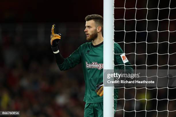 Angus Gunn of Norwich in action during the Carabao Cup Fourth Round match between Arsenal and Norwich City at Emirates Stadium on October 24, 2017 in...