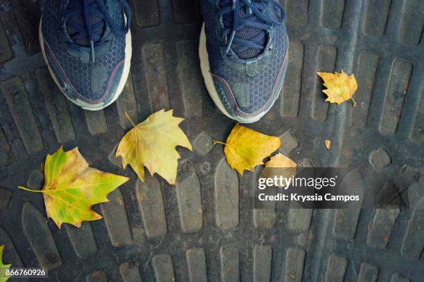 personal perspective of feet and first autumnal leaves on floor - tourism drop in paris stock pictures, royalty-free photos & images