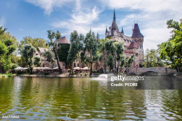 the vajdahunyad castle - vajdahunyad castle stock pictures, royalty-free photos & images