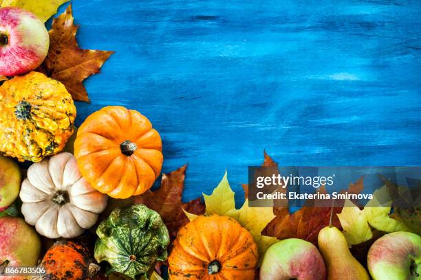 autumnal colorful pumpkins, apples and fallen leaves  on blue background - fall harvest table stock pictures, royalty-free photos & images